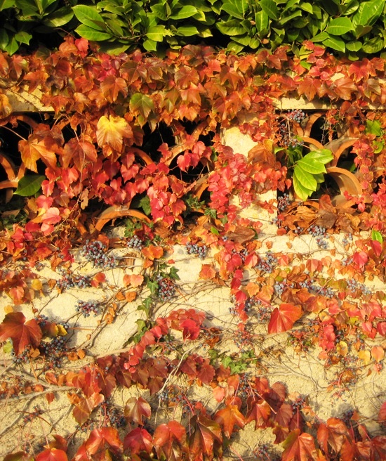 Autumn