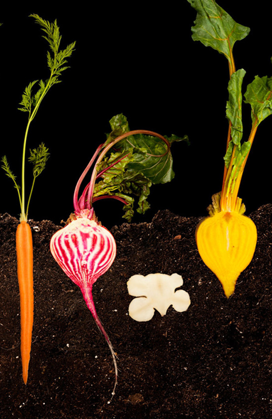 Photo by Ryan Matthew Smith for Modernist Cuisine